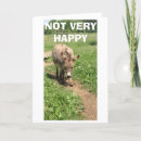 Search for life without cards Miss you