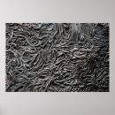 Search for nature posters Minimalist