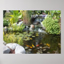 Recherche de koi pond posters Cascade