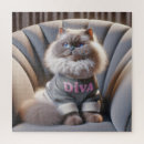 Search for himalayan cat Feline
