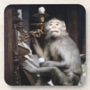 Search for monkeys coasters Funny