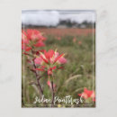 Recherche de indienne cartes postales Texas