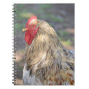 Search for fowl notebooks Farm