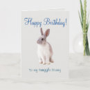 Search for bunny cards Rabbit