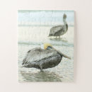Search for florida beach puzzles Wildlife