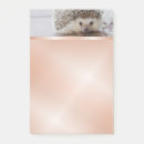 Recherche de hedgehog posters Mignon
