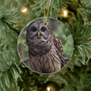 Search for barred owl ornaments Wildlife