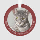 Search for unique pet memorials Forever in our hearts