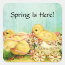 Search for vintage easter chicken stickers Chicks