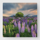 Search for new zealand clocks Flower