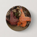Recherche de oregon badges Plage