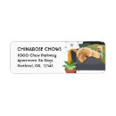 Search for chow return address labels Puppy