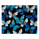 Recherche de bleu foncé posters Papillon