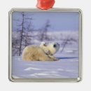 Search for arctic holiday ornaments Fur