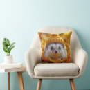 Search for beanie pillows Pet