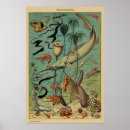 Search for antique fish print posters Home