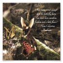 Search for flower fairy quote Nature