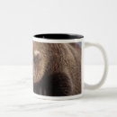 Search for arctos mugs Animal