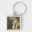 Search for united states national parks keychains Usa
