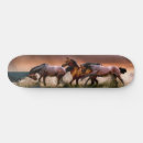Search for horse skateboards Deck
