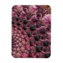 Recherche de fractales magnets Abstrait