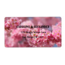 Search for sakura photography Elegant