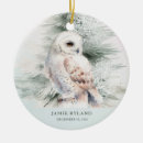 Search for owl decor ornaments Baby photo