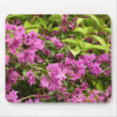Search for bougainvillea electronics Tropical