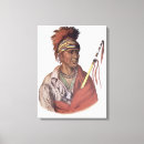 Search for native american bird art King