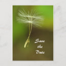 Recherche de hochzeit invitations Enregistrer la date