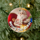 Search for summer santa ornaments Xmas