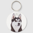 Search for husky puppy keychains Dogs