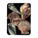 Recherche de style nautique magnets Mer