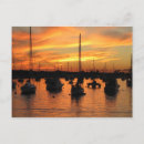 Search for newport postcards Sunset