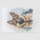 Search for german shepherd tissue paper Animal