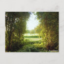 Search for baum horizontal postcards Natur