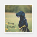 Recherche de laboratoire serviettes Extracteur