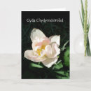 Recherche de gallois photographie Floral