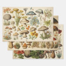 Search for cottagecore wrapping paper Garden