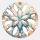 Search for sand dollar stickers Starfish