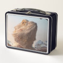 Search for dragon lunch boxes Reptile