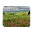 Recherche de toscane magnets Nature
