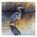 Search for great blue heron posters Nature