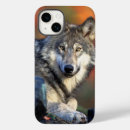 Recherche de loup sauvage iphone coques Photo de loup