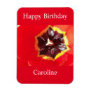 Recherche de tulipes rouges magnets Printemps