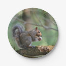 Recherche de écureuil assiettes en papier Forêt