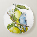 Search for budgie pillows Budgerigar