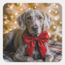 Search for weimaraner stickers Pet