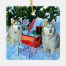 Search for siberian husky ornaments Snow