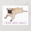 Search for pug puppies postcards Puppy